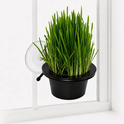 K&H EZ Mount Window Cat Grass Grow Station