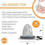 K&H Poultry Waterer