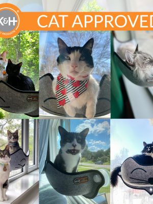 100213600EZMountWindowKittyFace-GrayUGCv2.jpg