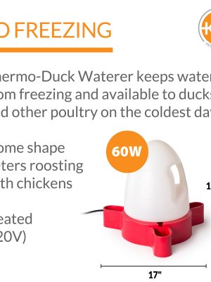 100213614K_HDuckWatererATF-3.jpg