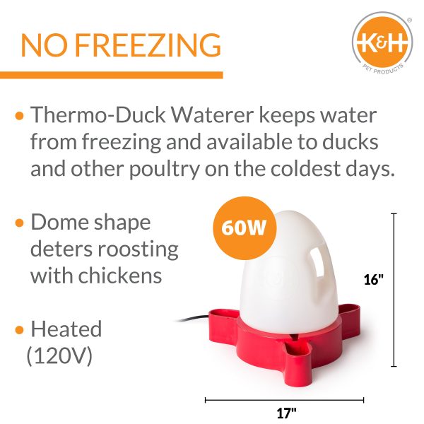 K&H Duck Waterer