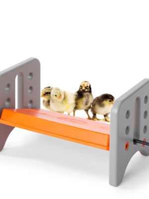 K&H Thermo-Poultry Brooder