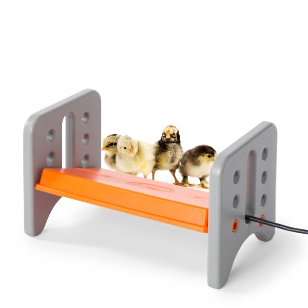 K&H Thermo-Poultry Brooder