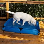 K&H Dog Pool & Pet Bath