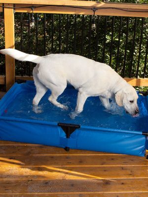 K&H Dog Pool & Pet Bath