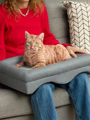 K&H Thermo Pet Pillow Indoor Heated Cat Lap Bed