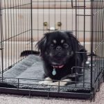 K&H Self-Warming Pet Pad