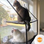 K&H EZ Mount Window Kitty Sill Double Stack