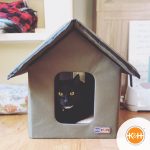 K&H Thermo Outdoor Kitty House