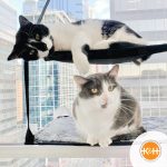 K&H EZ Mount Window Kitty Sill Double Stack