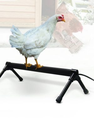 K&H Thermo-Chicken Perch