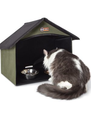 2961OutdoorKittyDiningRoom_w-Cat_Olive_KO_4in.jpg