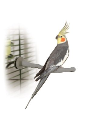 K&H Thermo-Perch Heated Bird Perch