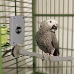 K&H Snuggle Up Bird Warmer
