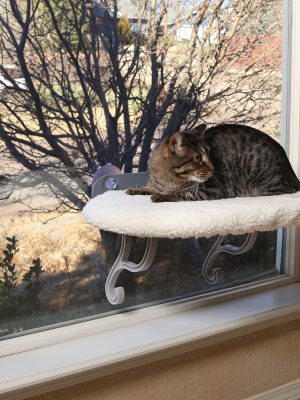 K&H Universal Mount Kitty Sill