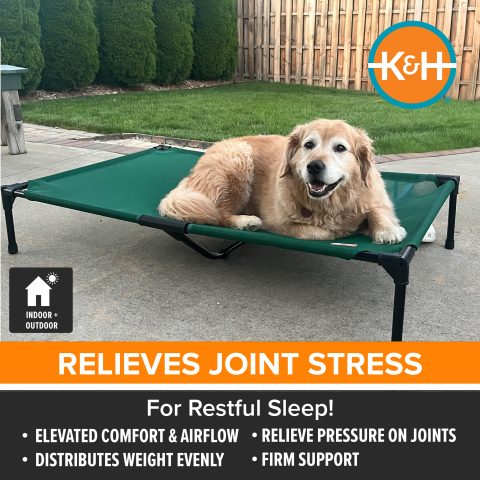 AllWeatherGreenALL_JOINTS.jpg