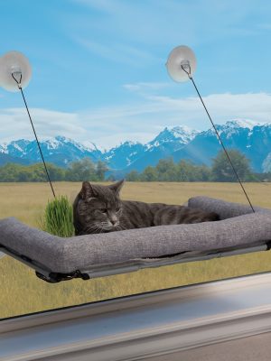 K&H EZ Mount Deluxe Bolstered Window Kitty Sill Cat Perch with Cat Grass Grow Station