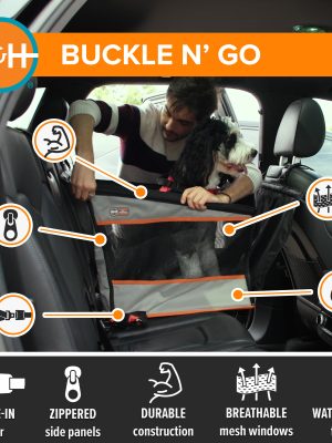 Buckle_N_Go_LG_FEATURES.jpg