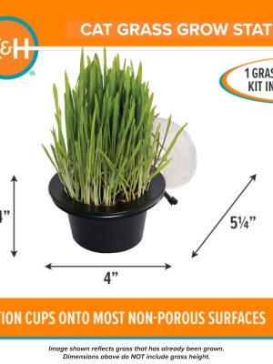 CatGrassGrowStationDimensions.jpg