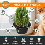 K&H EZ Mount Window Cat Grass Grow Station