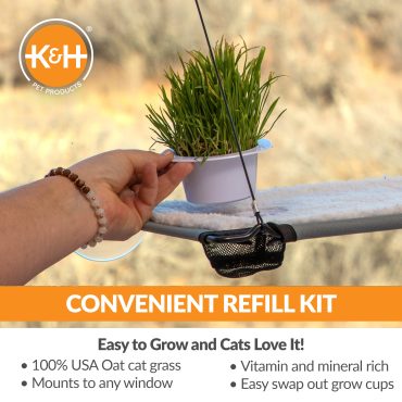 CatGrassGrowStationREFILLS_CONVENIENT.jpg