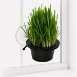 K&H EZ Mount Window Cat Grass Grow Station