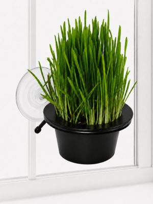 K&H EZ Mount Window Cat Grass Grow Station