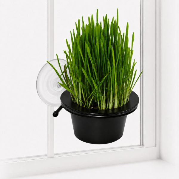 K&H EZ Mount Window Cat Grass Grow Station