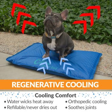 Cool_Bed_III_Large_REGENERATIVE_COOLING.jpg