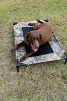 K&H Original Pet Cot