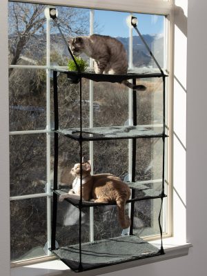 K&H EZ Mount Window Kitty Sill Cat Perch with Cat Grass Grow Station - Multi-Level