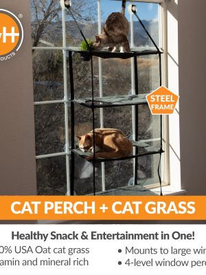 EZMountKittySillQuadLevelwithGrowStation_PERCH_GRASS.jpg