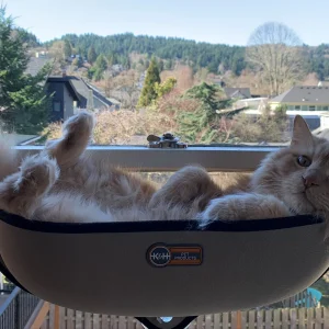 EZ_Mount_Window_Bed_ugc_copy