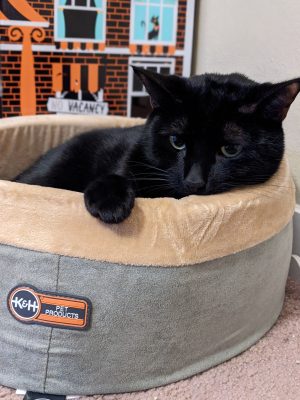 K&H Thermo-Kitty Bed Heated Cat Bed
