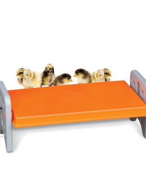 KHThermo-PoultryBrooderLG_Main.jpg