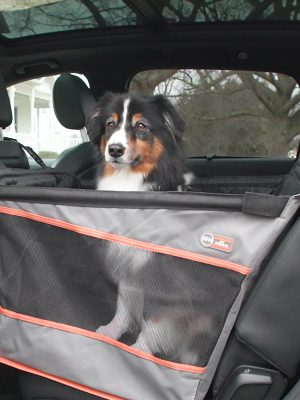 K&H Buckle n' Go Pet Seat
