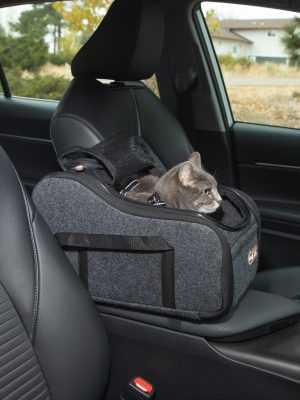 PetConsoleBooster_Amazon_DrkGray_Cat_Lifestyle1_100550271.jpg