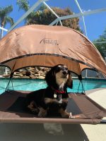 K&H Original Pet Cot
