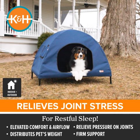 PetCotHouseLG_JOINTSTRESS.jpg