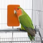 K&H Snuggle Up Bird Warmer