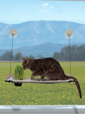 K&H Window Lounger Cat Perch with Cat Grass Grow Station