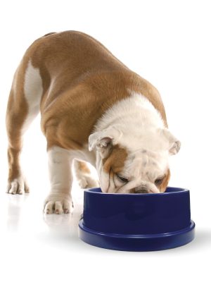 K&H Coolin' Bowl - Cooling Water Bowl for Pets