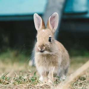 daniel-mccarthy-themccarthy-TRrC46LBfwc-unsplash
