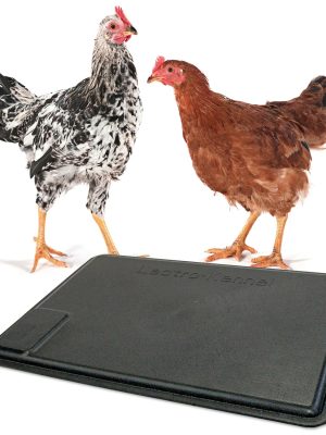 K&H Thermo-Chicken Heated Pad