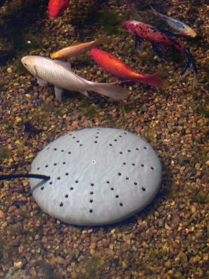 thermo-pond-submersible-2.jpg