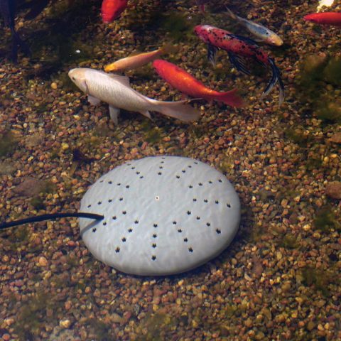 thermo-pond-submersible-2.jpg