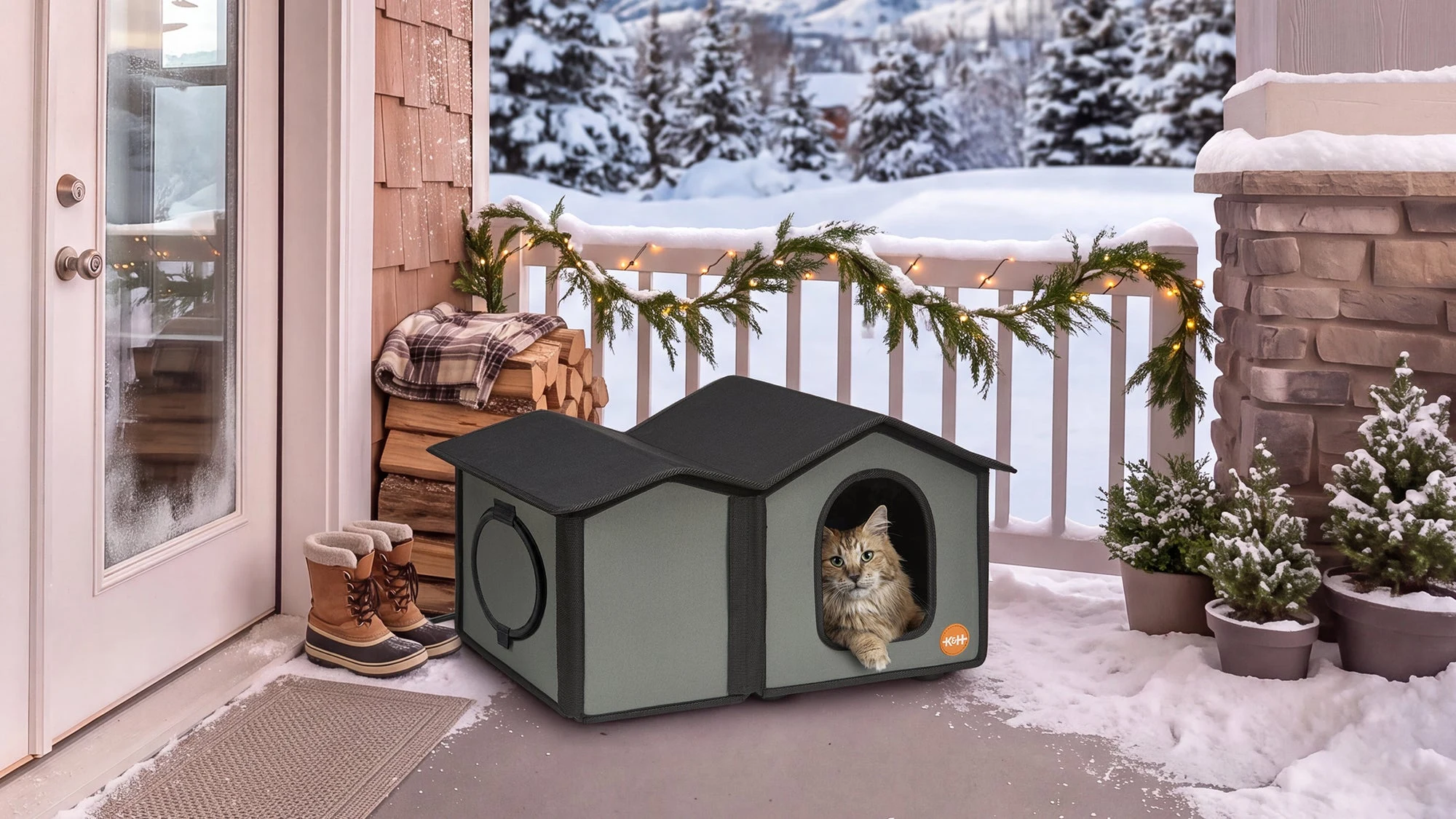 Cat Products