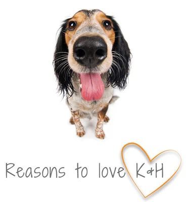 K&H Pet Products