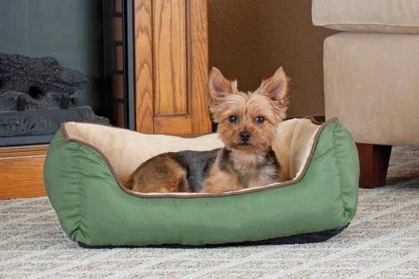 Dogs usually scratch their beds out of instinct.