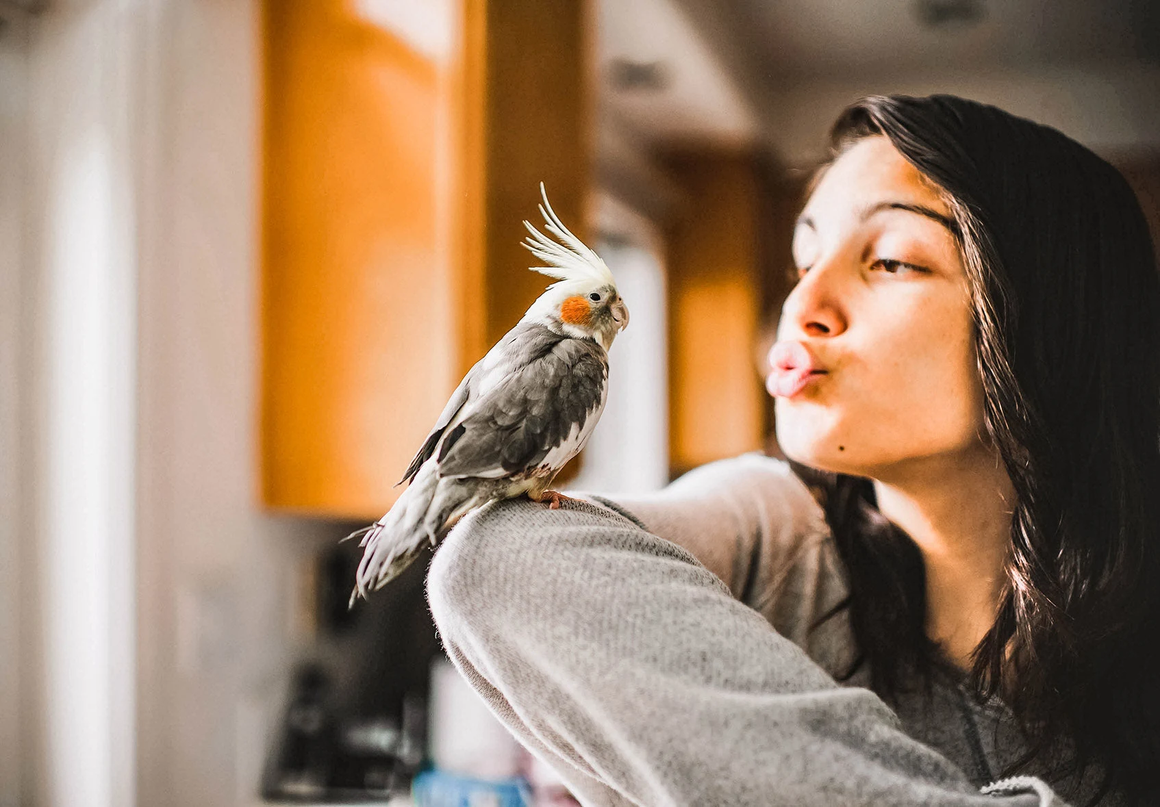 Bird Products
